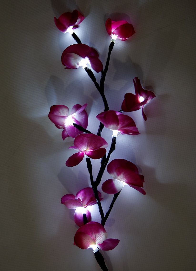 ORCHIDEJ SVÍTÍCÍ - RŮŽOVÁ - 66cm